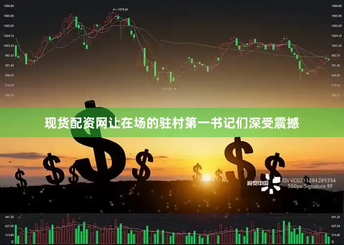 现货配资网让在场的驻村第一书记们深受震撼