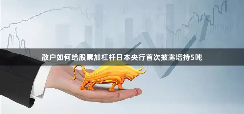 散户如何给股票加杠杆日本央行首次披露增持5吨