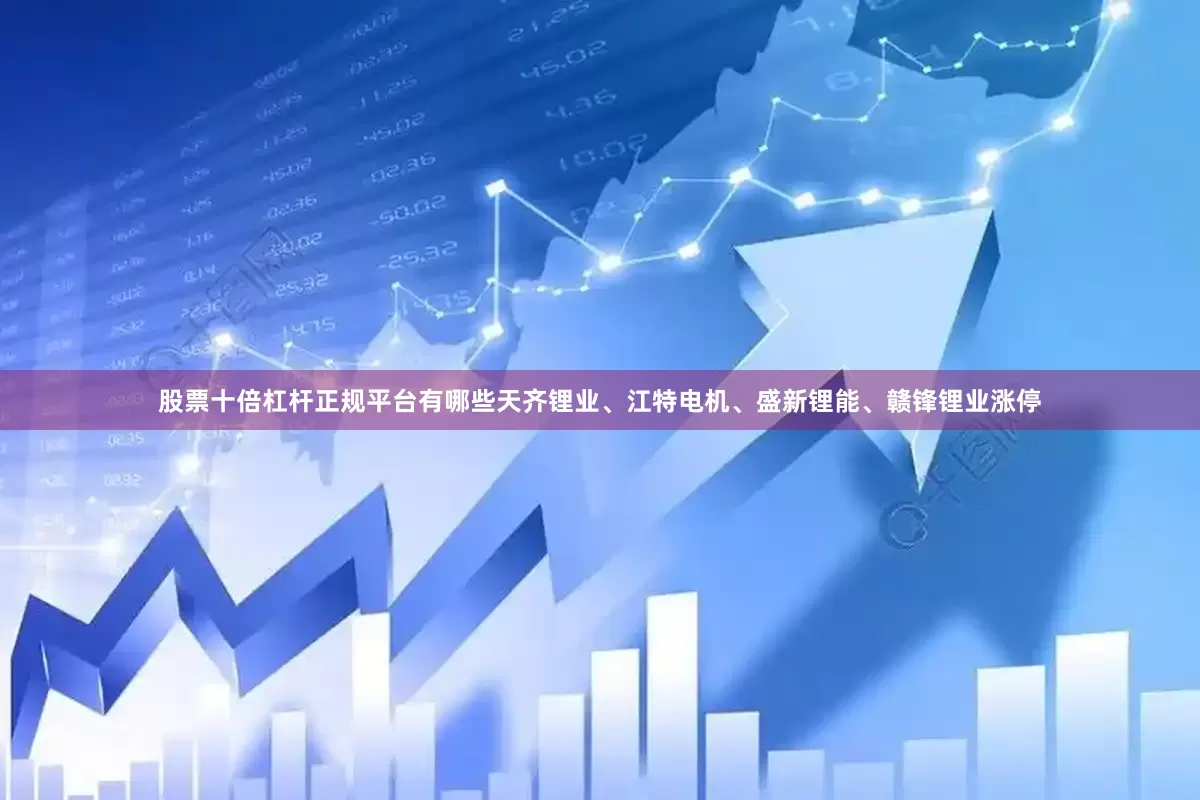 股票十倍杠杆正规平台有哪些天齐锂业、江特电机、盛新锂能、赣锋锂业涨停