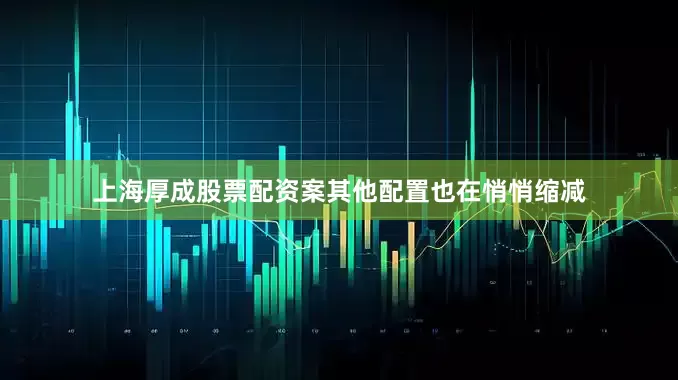上海厚成股票配资案其他配置也在悄悄缩减